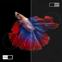 Kruger&Matz KM0224 Smart TV 24″, VIDAA DVB-S2/S/T2/T/C