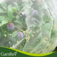 Gardlov 27548 Ochranná sieť na kvetinové záhony proti vtákom a škodcom, 3 x 6 m, biela
