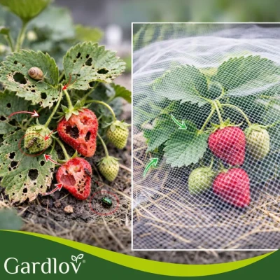 Gardlov 27548 Ochranná sieť na kvetinové záhony proti vtákom a škodcom, 3 x 6 m, biela