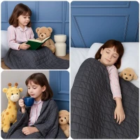 Posteloholici 1270706 Antistresová záťažová deka 3 kg, 90 x 120 cm, sivá