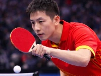 Verk 14710 Set na stolní tenis 2 rakety + 3 míčky v pouzdře