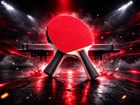 Verk 14710 Set na stolní tenis 2 rakety + 3 míčky v pouzdře