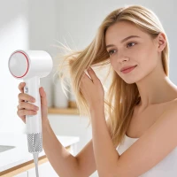 Teesa TSA0531 Vysoušeč vlasů PRO DRY 700, 1600 W, černý
