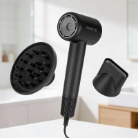 Teesa TSA0531 Vysoušeč vlasů PRO DRY 700, 1600 W, černý
