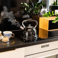 Teesa TSA0152 Rýchlovarná kanvica s píšťalkou 3 l, nerezová, čierna 