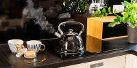 Teesa TSA0152 Rýchlovarná kanvica s píšťalkou 3 l, nerezová, čierna 
