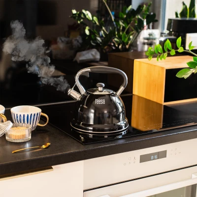 Teesa TSA0152 Rýchlovarná kanvica s píšťalkou 3 l, nerezová, čierna 