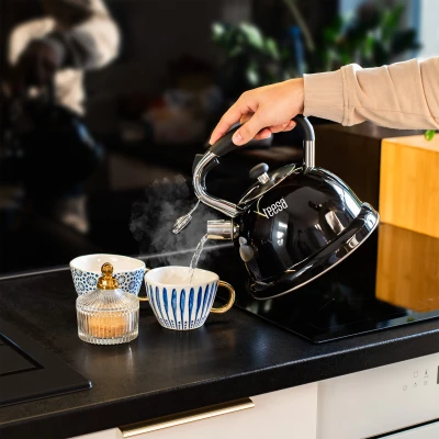Teesa TSA0152 Rýchlovarná kanvica s píšťalkou 3 l, nerezová, čierna 