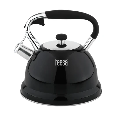 Teesa TSA0152 Rýchlovarná kanvica s píšťalkou 3 l, nerezová, čierna 