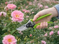 DIVODV 27890 Ruční zahradní nůžky 220 mm, zelené