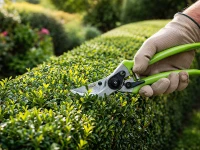 DIVODV 27890 Ruční zahradní nůžky 220 mm, zelené