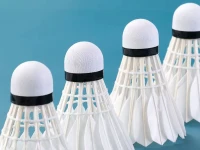 Verk 14716 Badmintonové pierkové loptičky, sada 12 ks, biele