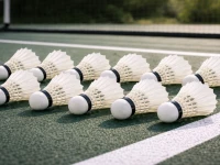 Verk 14716 Badmintonové pierkové loptičky, sada 12 ks, biele