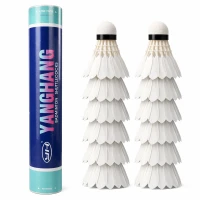 Verk 14716 Badmintonové pierkové loptičky, sada 12 ks, biele