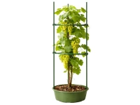 DIVODV 27931 Trojúhelníková opora pro rostliny 60 cm, sada 2 ks, zelená