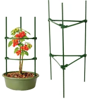 DIVODV 27931 Trojúhelníková opora pro rostliny 60 cm, sada 2 ks, zelená