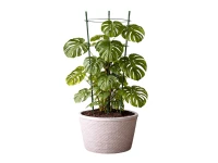 DIVODV 27930 Kruhová opora pro rostliny 60 cm, 3 kruhy, zelená