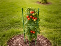 DIVODV 27930 Kruhová opora pro rostliny 60 cm, 3 kruhy, zelená