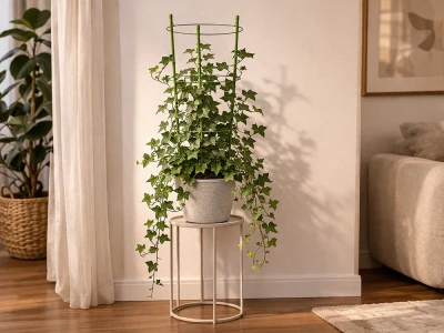DIVODV 27930 Kruhová opora pro rostliny 60 cm, 3 kruhy, zelená