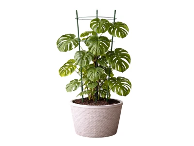 DIVODV 27930 Kruhová opora pro rostliny 60 cm, 3 kruhy, zelená