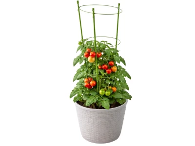 DIVODV 27930 Kruhová opora pro rostliny 60 cm, 3 kruhy, zelená