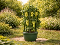 DIVODV 27930 Kruhová opora pro rostliny 90 cm, 3 kruhy, sada 3 ks, zelená