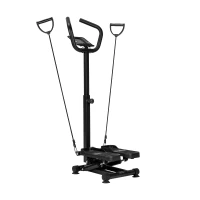 Rebel RBA-3230 Stepper Active s expandéry a LCD displejem, černý