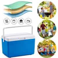 RealG RC-K-2391 Přenosný chladicí box na chladicí vložky 10 l, modrý