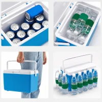 RealG RC-K-2391 Přenosný chladicí box na chladicí vložky 10 l, modrý