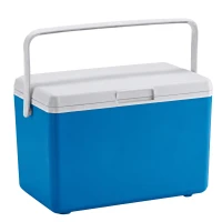 RealG RC-K-2391 Přenosný chladicí box na chladicí vložky 10 l, modrý