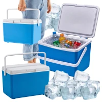 RealG RC-K-2391 Přenosný chladicí box na chladicí vložky 10 l, modrý