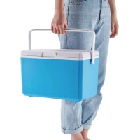 RealG RC-K-2391 Přenosný chladicí box na chladicí vložky 10 l, modrý