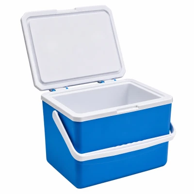 RealG RC-K-2391 Přenosný chladicí box na chladicí vložky 10 l, modrý