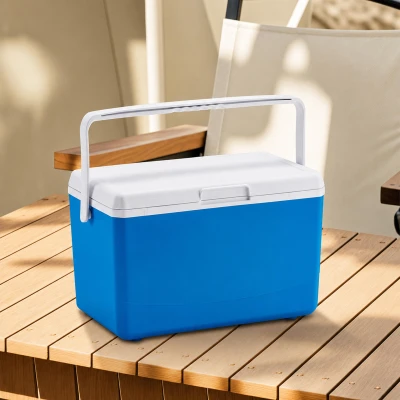 RealG RC-K-2391 Přenosný chladicí box na chladicí vložky 10 l, modrý