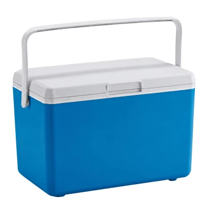RealG RC-K-2391 Přenosný chladicí box na chladicí vložky 10 l, modrý
