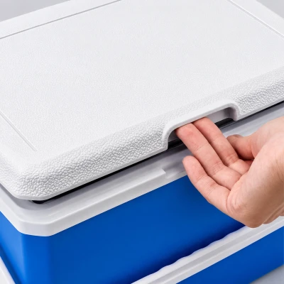 RealG RC-K-2391 Přenosný chladicí box na chladicí vložky 10 l, modrý
