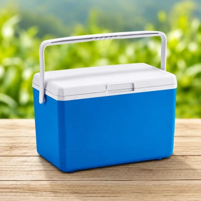 RealG RC-K-2391 Přenosný chladicí box na chladicí vložky 10 l, modrý