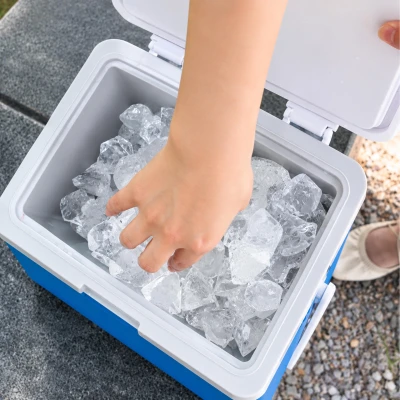 RealG RC-K-2391 Přenosný chladicí box na chladicí vložky 10 l, modrý