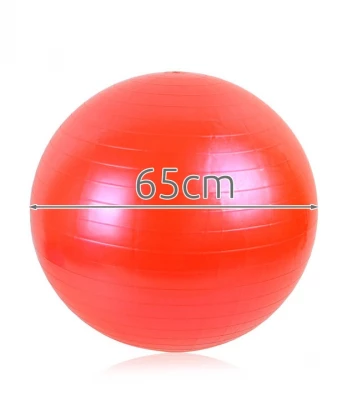 ISO Gymnastický míč 65 cm + hustilka