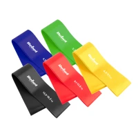 Rebel RBA-3002-CO Sada posilovacích gum TPE - Mini Band L, 2,3-18,2 kg, 5 ks, barevné