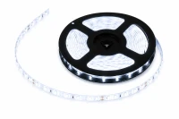 Rebel LED0132-3 LED pásek 5 m, 300x SMD 5630, 12 V, 6500 K, IP65, studená bílá