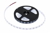Rebel LED0140-3 LED pásik 5 m, 300x SMD 5050, 12 V, IP20, studená biela