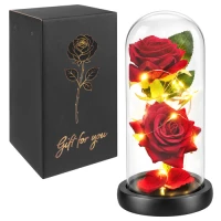 Glimz 28353 LED ruža v sklenenej váze 22 cm