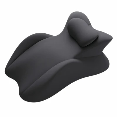 APT DA494 Ergonomický polštář z paměťové pěny 55 x 35 x 20 cm, černý