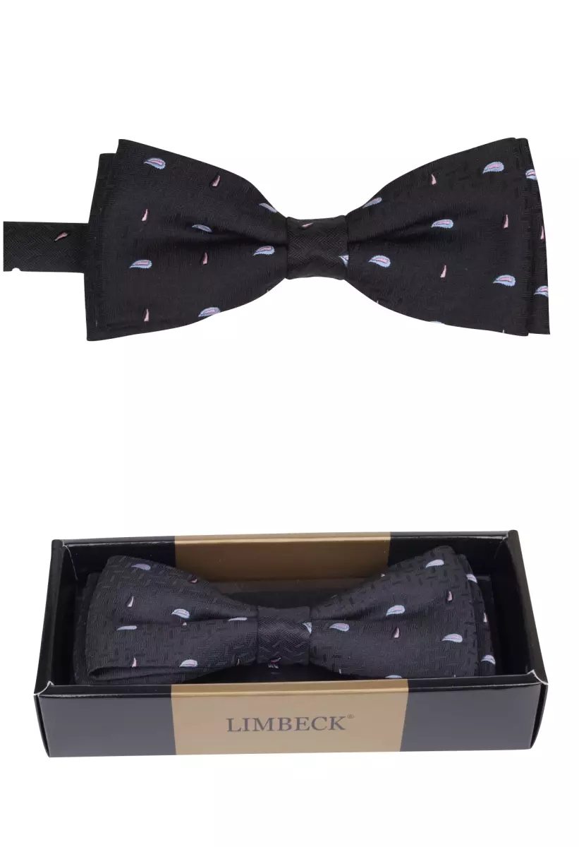 černý motýlek s pěkným vzorem