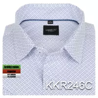 bílomodrá košile s jemným vzorem
