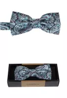 tyrkysový motýlek s pěkným vzorem