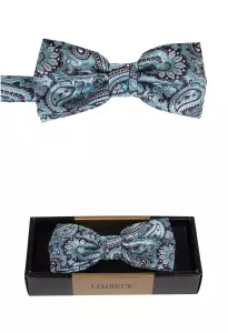 tyrkysový motýlek s pěkným vzorem