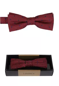 bordó motýlek s pěkným vzorem