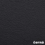 černá (RE Typ 2)